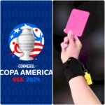 Ecuatorianos serán parte del programa de desarrollo de UFC